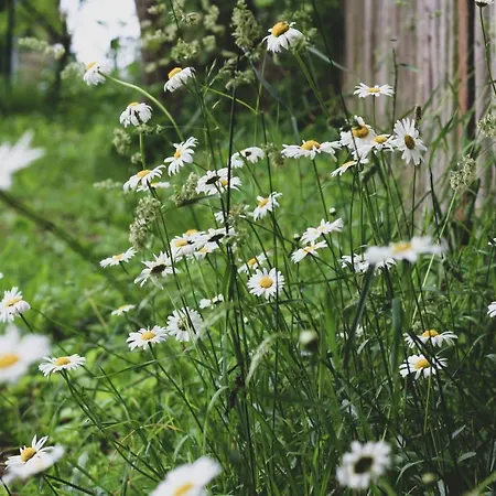 Roubenka Na Hrádku - český Ráj Casa vacanze