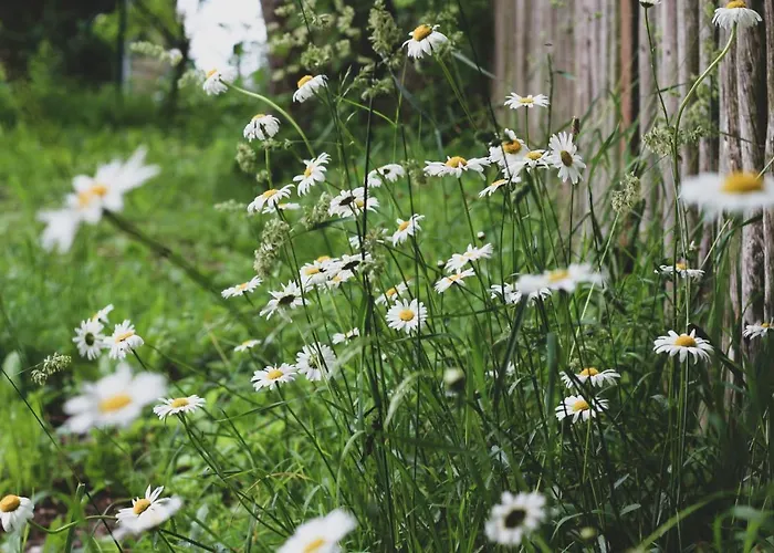 Roubenka Na Hradku - Cesky Raj 別荘